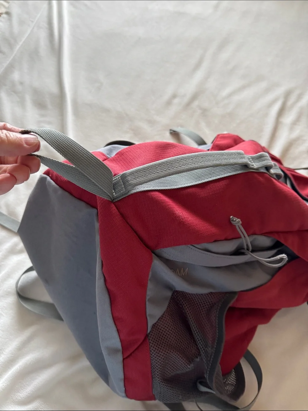 Kelty Roam back pack